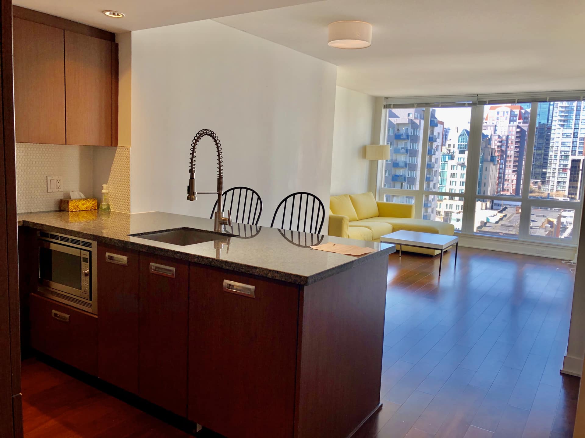 1705-1055 Richards Street, Vancouver BC V6B 0C2