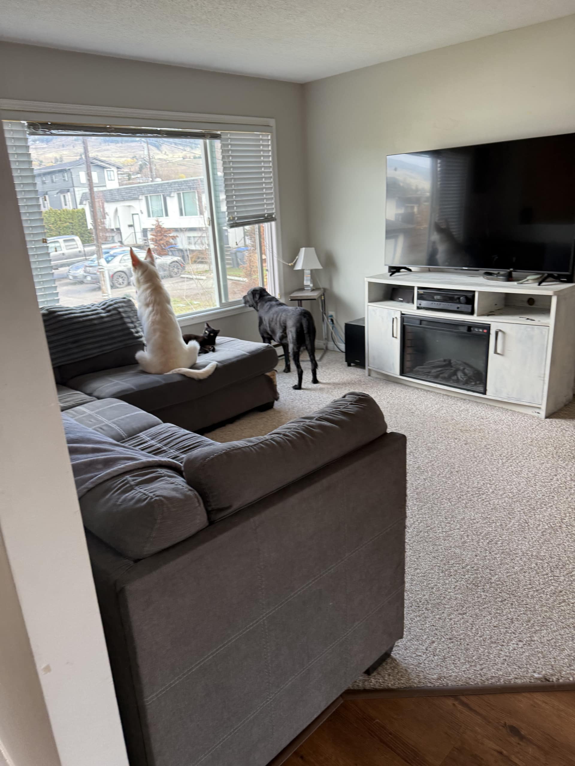 412 Laurel Road, Kelowna, BC V1X 2V6